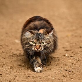 ���������